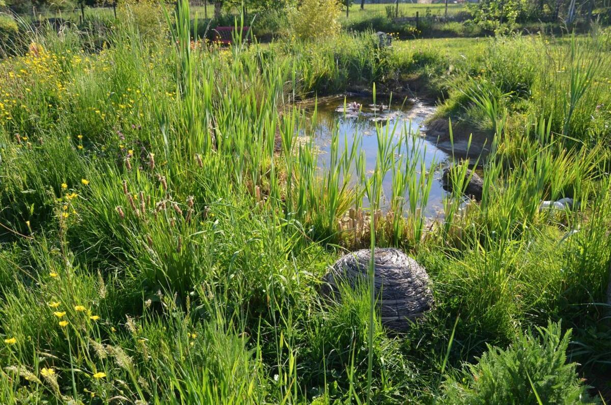 Chalet Bois Pleine Campagne A Pontigny Εξωτερικό φωτογραφία